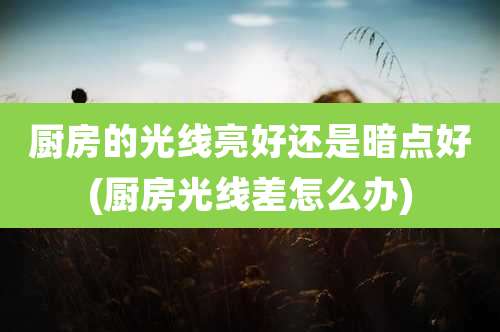 厨房的光线亮好还是暗点好(厨房光线差怎么办)