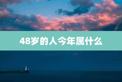 48岁的人今年属什么