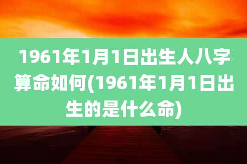 1961年1月1日出生人八字算命如何(1961年1月1日出生的是什么命)