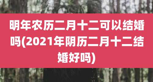 明年农历二月十二可以结婚吗(2021年阴历二月十二结婚好吗)