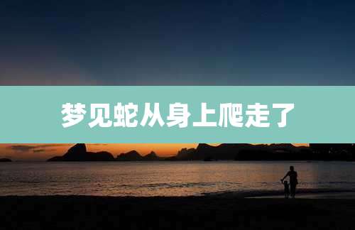 梦见蛇从身上爬走了