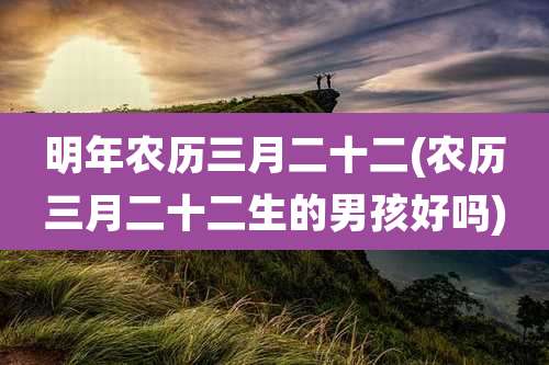 明年农历三月二十二(农历三月二十二生的男孩好吗)