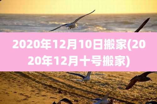 2020年12月10日搬家(2020年12月十号搬家)