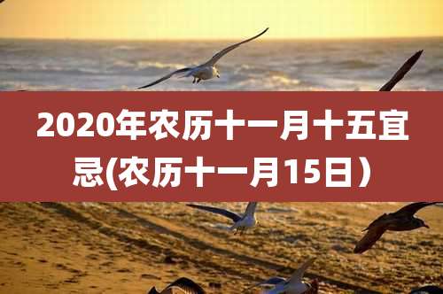2020年农历十一月十五宜忌(农历十一月15日)