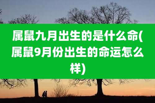 属鼠九月出生的是什么命(属鼠9月份出生的命运怎么样)