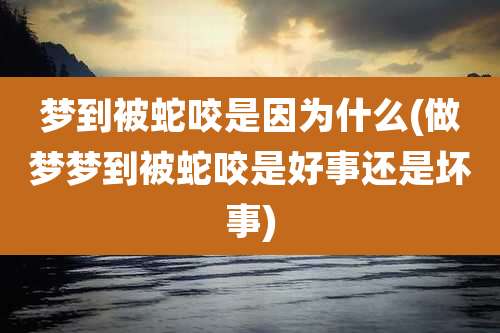 梦到被蛇咬是因为什么(做梦梦到被蛇咬是好事还是坏事)
