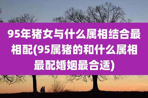 95年猪女与什么属相结合最相配(95属猪的和什么属相最配婚姻最合适)