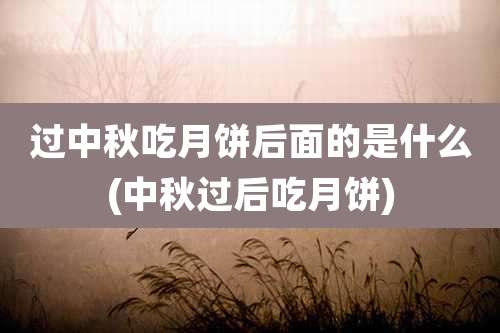 过中秋吃月饼后面的是什么(中秋过后吃月饼)