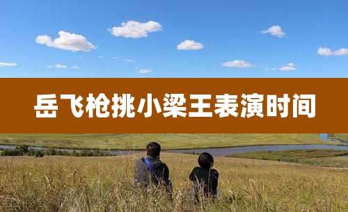 岳飞枪挑小梁王表演时间