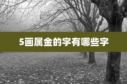 5画属金的字有哪些字