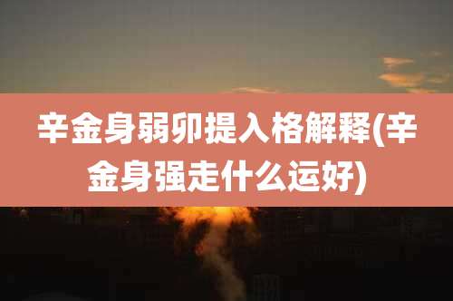 辛金身弱卯提入格解释(辛金身强走什么运好)