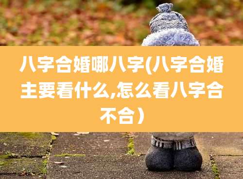 八字合婚哪八字(八字合婚主要看什么,怎么看八字合不合)