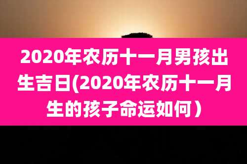 2020年农历十一月男孩出生吉日(2020年农历十一月生的孩子命运如何）