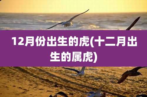 12月份出生的虎(十二月出生的属虎)