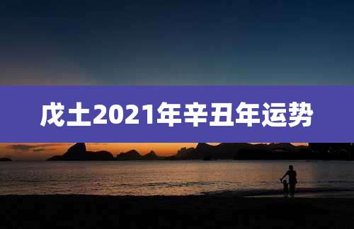 戊土2021年辛丑年运势