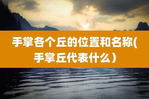 手掌各个丘的位置和名称(手掌丘代表什么）