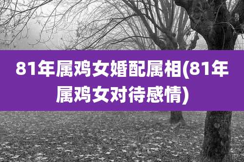 81年属鸡女婚配属相(81年属鸡女对待感情)