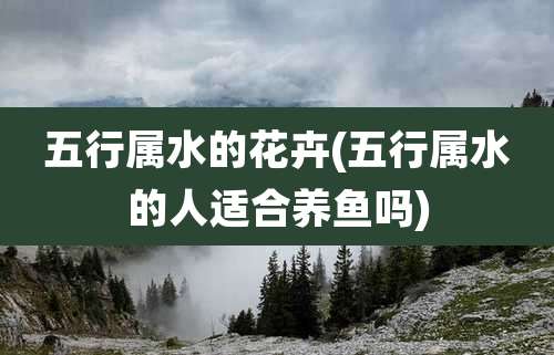 五行属水的花卉(五行属水的人适合养鱼吗)