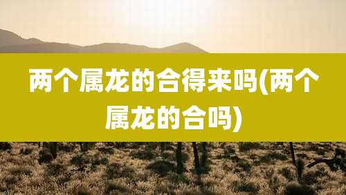 两个属龙的合得来吗(两个属龙的合吗)