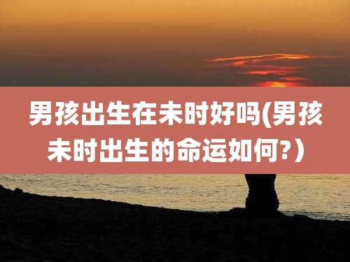 男孩出生在未时好吗(男孩未时出生的命运如何?）