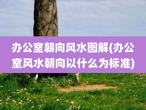 办公室朝向风水图解(办公室风水朝向以什么为标准)