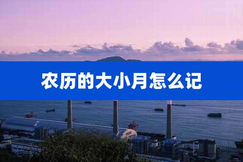 农历的大小月怎么记