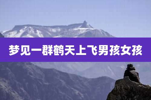 梦见一群鹤天上飞男孩女孩