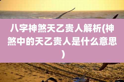 八字神煞天乙贵人解析(神煞中的天乙贵人是什么意思)
