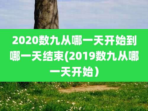 2020数九从哪一天开始到哪一天结束(2019数九从哪一天开始）