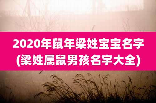 2020年鼠年梁姓宝宝名字(梁姓属鼠男孩名字大全)