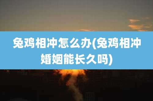 兔鸡相冲怎么办(兔鸡相冲婚姻能长久吗)