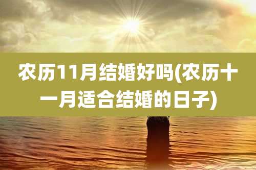 农历11月结婚好吗(农历十一月适合结婚的日子)