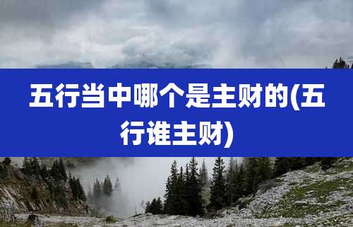 五行当中哪个是主财的(五行谁主财)
