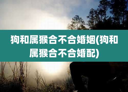 狗和属猴合不合婚姻(狗和属猴合不合婚配)