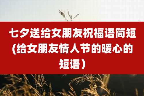 七夕送给女朋友祝福语简短(给女朋友情人节的暖心的短语)