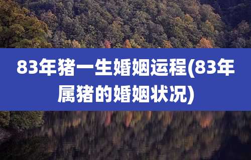 83年猪一生婚姻运程(83年属猪的婚姻状况)