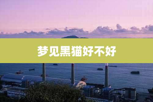 梦见黑猫好不好