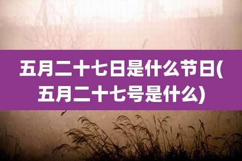 五月二十七日是什么节日(五月二十七号是什么)
