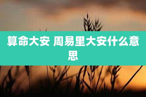 算命大安 周易里大安什么意思