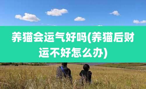 养猫会运气好吗(养猫后财运不好怎么办)