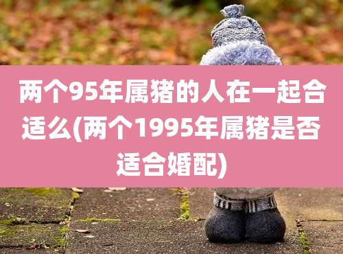 两个95年属猪的人在一起合适么(两个1995年属猪是否适合婚配)