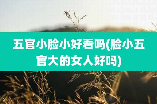 五官小脸小好看吗(脸小五官大的女人好吗)