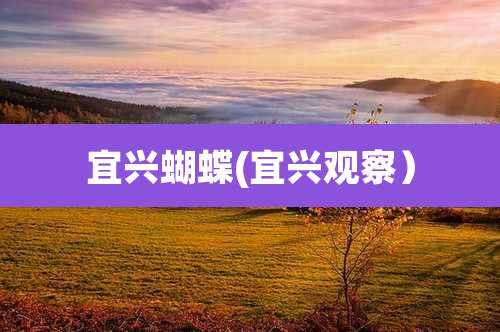 宜兴蝴蝶(宜兴观察）