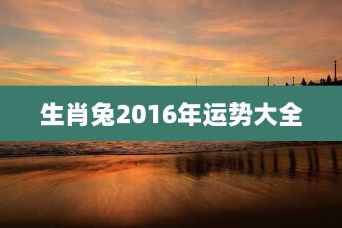 生肖兔2016年运势大全