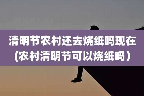 清明节农村还去烧纸吗现在(农村清明节可以烧纸吗)