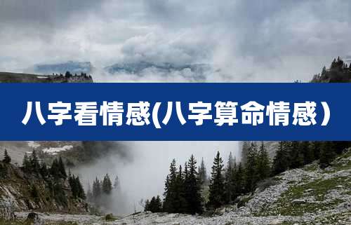 八字看情感(八字算命情感）