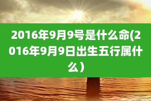 2016年9月9号是什么命(2016年9月9日出生五行属什么)