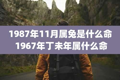 1987年11月属兔是什么命 1967年丁未年属什么命