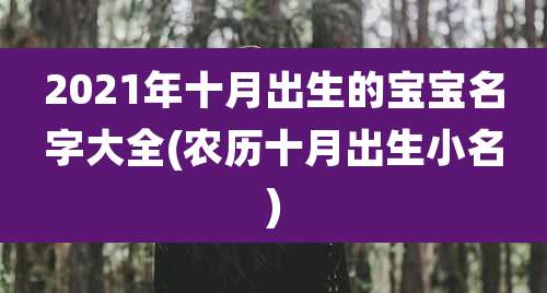 2021年十月出生的宝宝名字大全(农历十月出生小名)