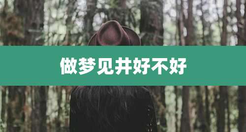 做梦见井好不好